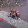 Cavalo ilhado em Canoas é resgatado pelo Exército; vídeo
