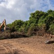 MP aciona Polícia Ambiental para paralisar obras na barreira de Gramame, em João Pessoa