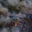 Queimadas no Brasil atingiram área do tamanho da Paraíba em agosto