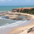 Nova estrada para a Praia de Pipa, no RN, terá cobrança de pedágio