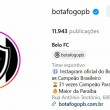 Botafogo-PB troca de nome no Instagram; mudança à vista?